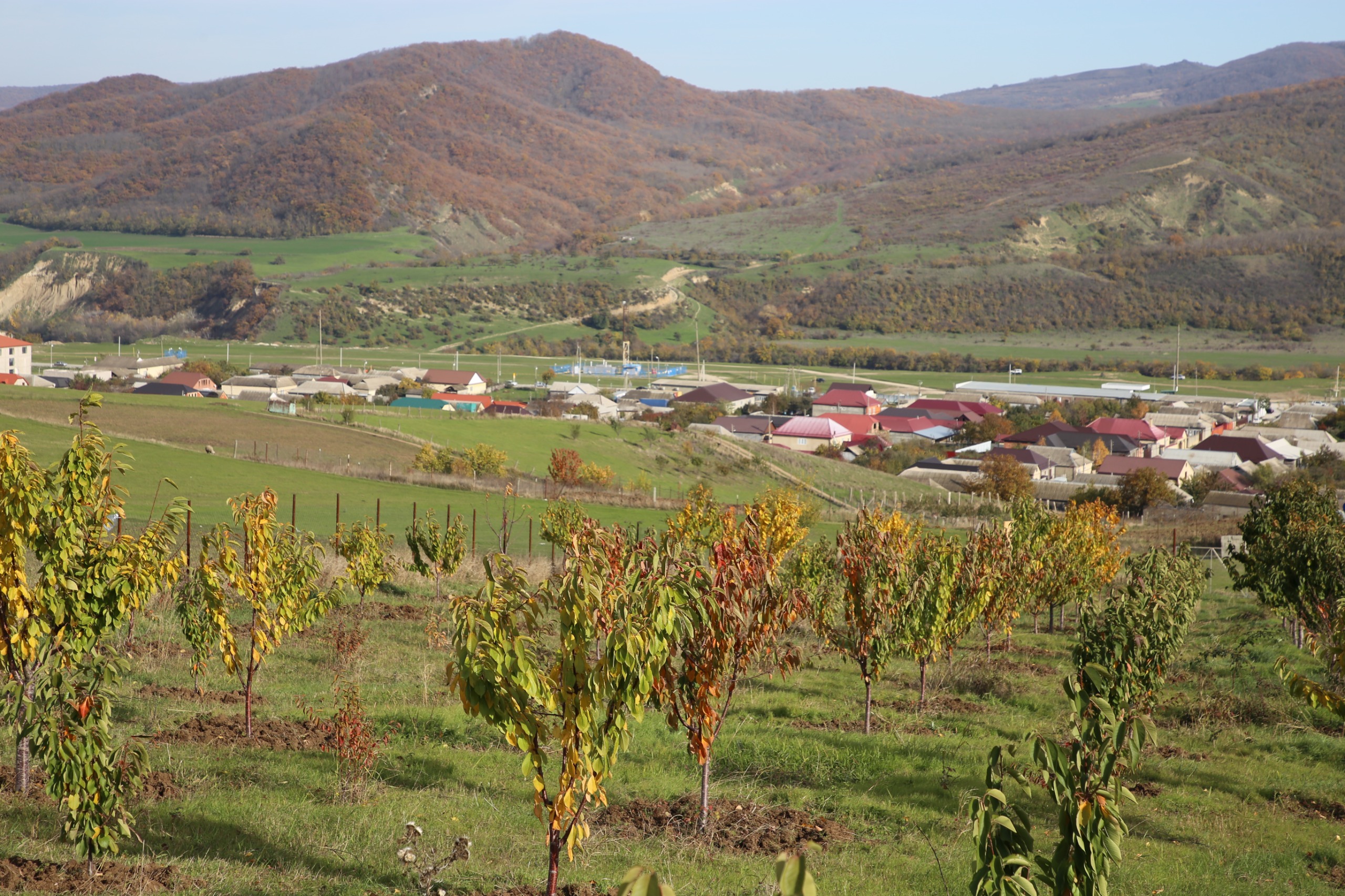 Сотрудники Минэкономразвития проверили ход реализации программы развития горных территорий в Казбековском районе